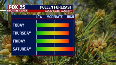 conroe pollen count|More.